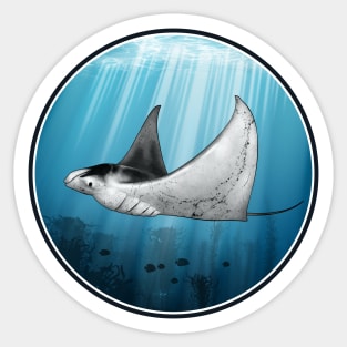 Manta Ray Sticker